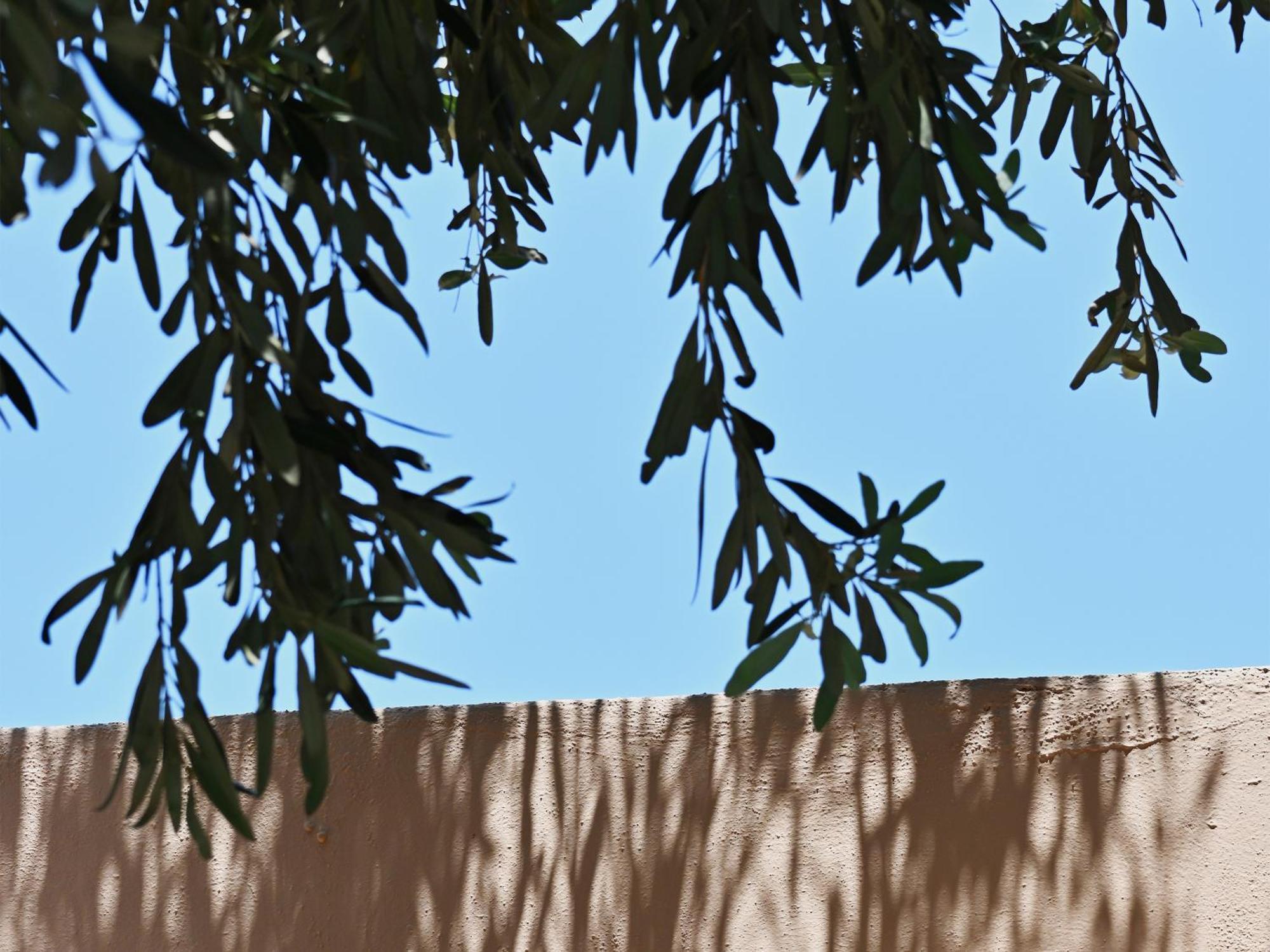 Cape Sounio, A Grecotel Resort To Live Сунион Экстерьер фото